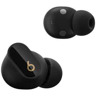 Apple Beats Studio Buds + TRUE WL NOISE CL EARBUDS - BLACK/GOLD