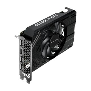 8GB Gainward GeForce RTX 4060 Pegasus Aktiv PCIe 4.0 x16 (x8) (Retail)