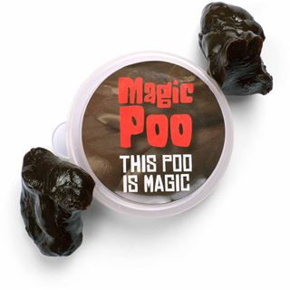 ThumbsUp! Knete magnetisch Magic Poo braun
