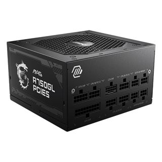750 Watt MSI MAG A750GL PCIE5 Modular 80+ Gold, Bulk Artikel /