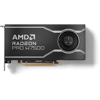 8GB AMD Radeon PRO W7500 GDDR6 (4x DP)
