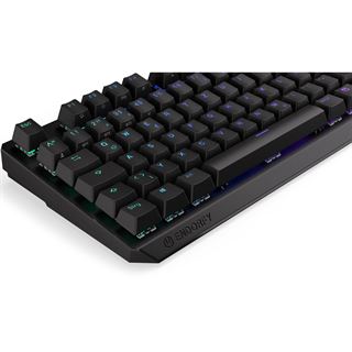Endorfy Thock TKL Kailh Box RED USB 2.4GHz Bluetooth Deutsch schwarz