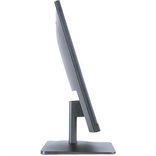 23,8" (60,47cm) Terra GreenLine 2448W schwarz 1920x1080 1xHDMI