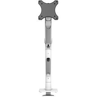 Neomounts by Newstar Tischhalterung 100x100 -15kg