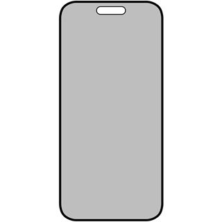E.V.I. DISPLEX PRIVACY GLASS IPHONE 15/15 PRO