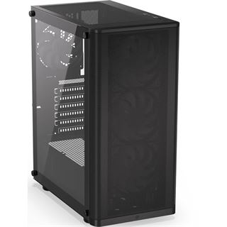 Endorfy Ventum 200 ARGB mit Sichtfenster Midi Tower ohne Netzteil