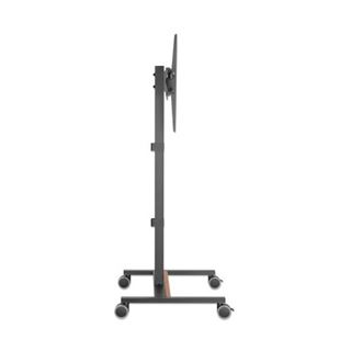 Manhattan TV-Ständer rollbar 34"-55" 35kg neigbar