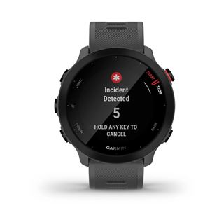 Garmin Forerunner 55 grey