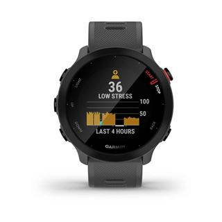 Garmin Forerunner 55 grey