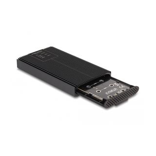 Delock Externes Geh&auml;use USB 20 Gbps f&uuml;r 2 x M.2 NVMe PCIe