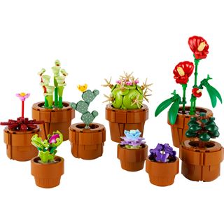 LEGO Botanicals 10329 Collection Mini Pflanzen und Blumen Set