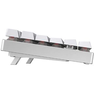 Cherry MX 8.2 TKL WIRELESS / US/ WHITE