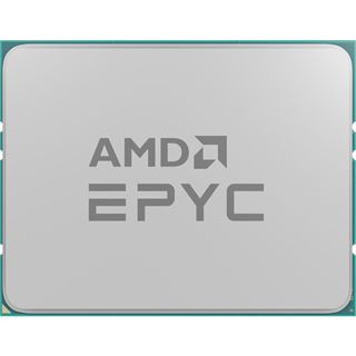 AMD Epyc 7643P 48x 2.30GHz So.SP3 TRAY