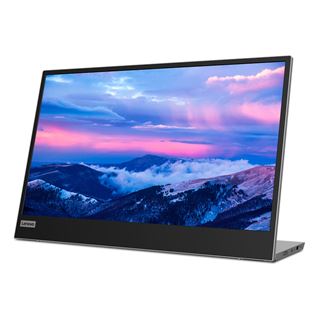 15,6" (39,62cm) Lenovo ThinkVision L15 schwarz/silber 1920x1080