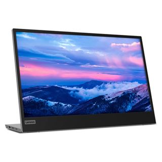 15,6" (39,62cm) Lenovo ThinkVision L15 schwarz/silber 1920x1080