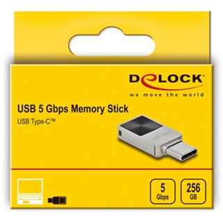 256GB Delock Mini USB 5 Gbps USB-CÖ Speicherstick -