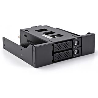 DELOCK Slim Bay Wechselrahmen fur 2 x 6,35cm 2,5Zoll U.2 NVMe SSD mit