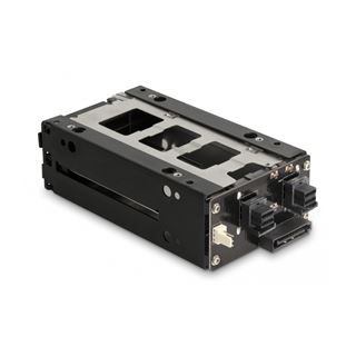 DELOCK Slim Bay Wechselrahmen fur 2 x 6,35cm 2,5Zoll U.2 NVMe SSD mit
