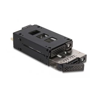 DELOCK Slim Bay Wechselrahmen fur 2 x 6,35cm 2,5Zoll U.2 NVMe SSD mit