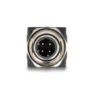 Delock M12 Adapter D-kodiert 4 Pin Stecker zu RJ45 Buchse gerade