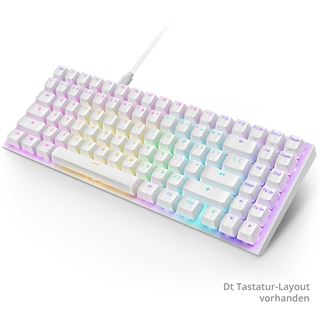 NZXT Function 2 MiniTKL USB Deutsch wei&szlig; (kabelgebunden)