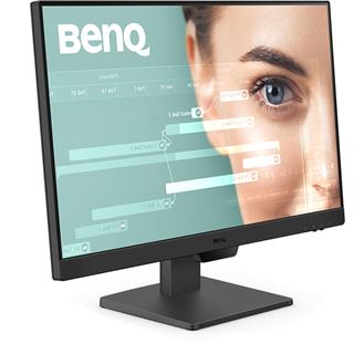 23,8" (60,47cm) BenQ GW2490 schwarz 1920x1080 1x DisplayPort 1.2