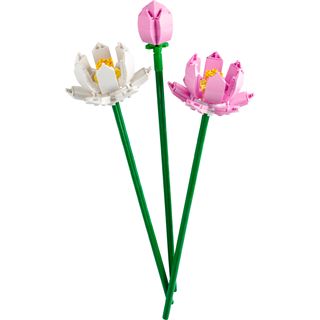 LEGO Botanicals 40647 Lotusblumen, Kunstblumen, Botanik Kollektion