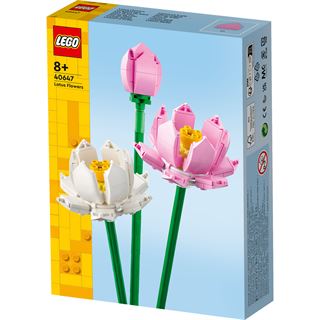 LEGO Botanicals 40647 Lotusblumen, Kunstblumen, Botanik Kollektion