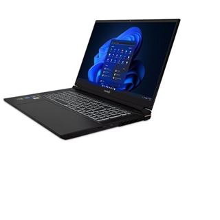 Notebook 17.3" (43,94cm) Terra MOBILE GAMER ELITE 5v3 i9-14900HX