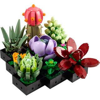 LEGO Botanicals 10309 Sukkulenten, Bauset mit Dekopflanzen