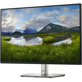 24" (60,96cm) Dell P2425E schwarz/silber 1920x1200 1xDisplayPort