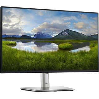 24" (60,96cm) Dell P2425H schwarz/silber 1920x1080 1x