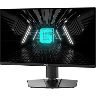 24,5" (62,23cm) MSI G255PFDE E2 schwarz 1920x1080 1x DisplayPort