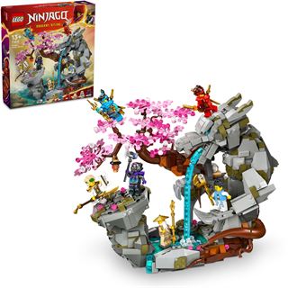 LEGO NINJAGO 71819 Drachenstein-Tempel Action-Spielzeug mit