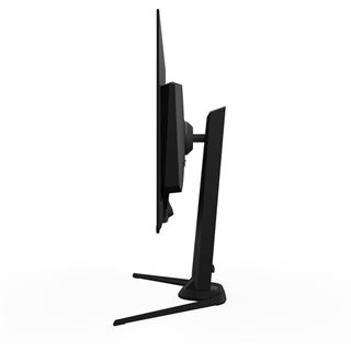 31,5" (80,01cm) Gigabyte AORUS FO32U2P schwarz 3840x2160