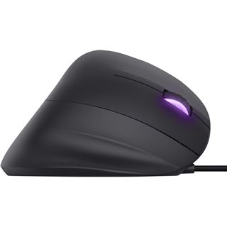 Trust Gaming GXT 144 Rexx Vertical USB schwarz (kabelgebunden)