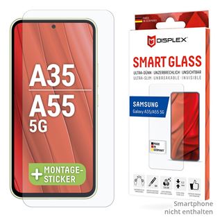 E.V.I DISPLEX SMART GLASS