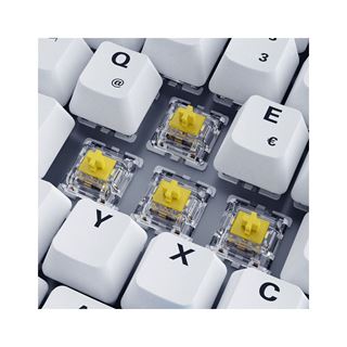 Sharkoon Skiller SGK50 S3 PBT USB Deutsch weiß (kabelgebunden)