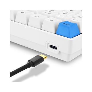 Sharkoon Skiller SGK50 S3 PBT USB Deutsch weiß (kabelgebunden)