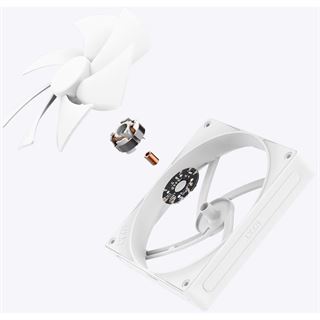 NZXT F Series F140P (2024) 140x140x25mm 500-1700 U/min 30 dB(A)