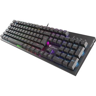 Genesis Gaming Tastatur THOR 300 RGB red kabelgeb. (FR)