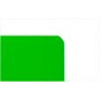 OXFORD Vokabelheft 2-Spalten Lineatur 53 liniert DIN A4 ohne Rand, 32