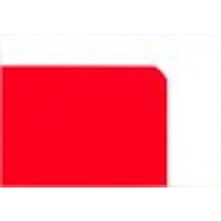 OXFORD Vokabelheft 2-Spalten Lineatur 53 liniert DIN A4 ohne Rand, 32