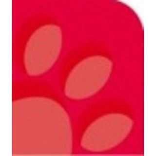 OXFORD Schulheft Lineatur 3 liniert DIN A4 ohne Rand, 16 Blatt