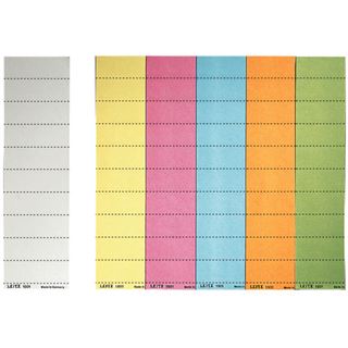 LEITZ 100 Beschriftungsschilder f&uuml;r H&auml;ngeregister 1901