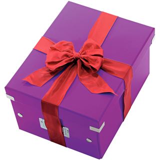 LEITZ Click & Store Aufbewahrungsbox 16,7 l violett 28,1 x 36,9 x