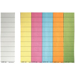 LEITZ 100 Beschriftungsschilder f&uuml;r H&auml;ngeregister 1901 blau