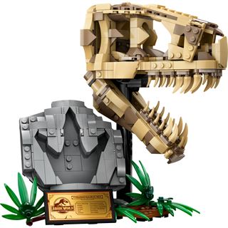 LEGO Jurassic World 76964 Dinosaurier-Fossilien: T.-rex-Kopf,