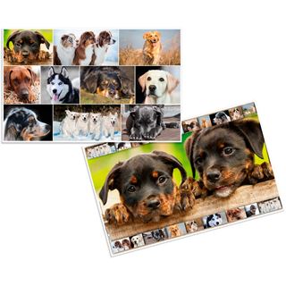 HERMA 3 Schreibtischunterlagen Karton Hunde