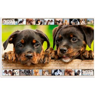 HERMA 3 Schreibtischunterlagen Karton Hunde